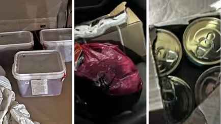 Любите покупать с рук «свежую» красную икру? Россельхознадзор показал, как её везут в Беларусь