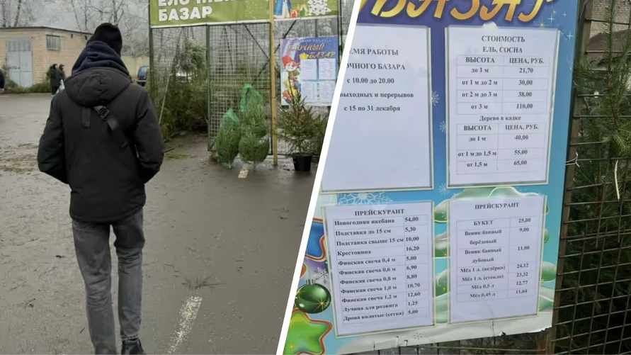 "Цен таких нет!" — минчане пожаловались на дорогие ёлки. Что ответили в Минлесхозе