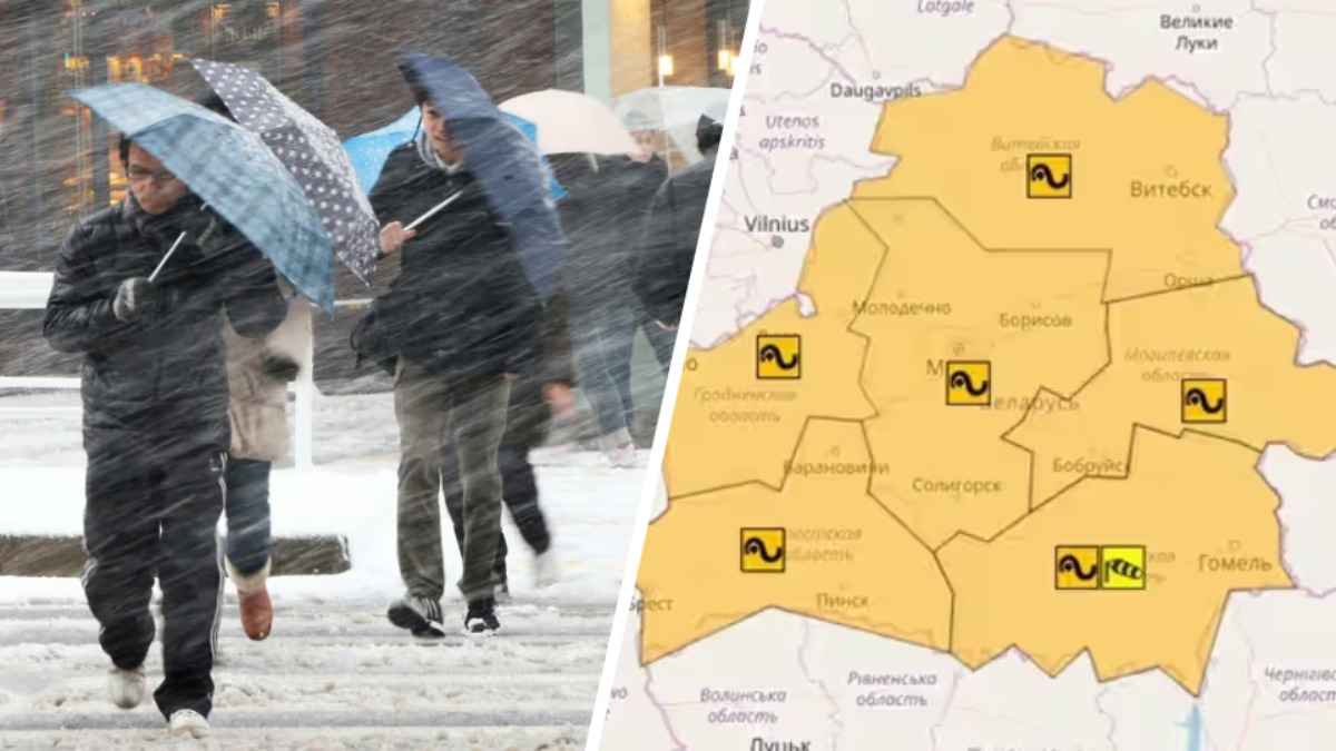 До 72 км/ч. Синоптики объявили оранжевый уровень опасности из-за усиления ветра по всей Беларуси