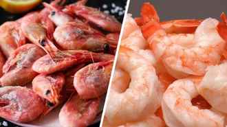 Какие креветки выгоднее покупать белорусам? Вот сколько останется от размороженного килограмма