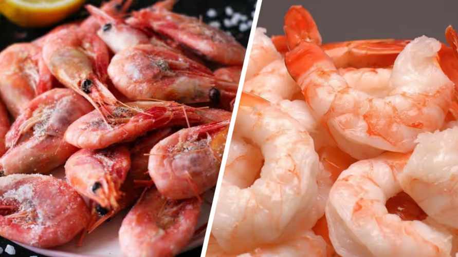 Какие креветки выгоднее покупать белорусам? Вот сколько останется от размороженного килограмма