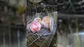 Видео, снятое внутри посудомоечной машины, поразило зрителей. Не то, что ожидали?