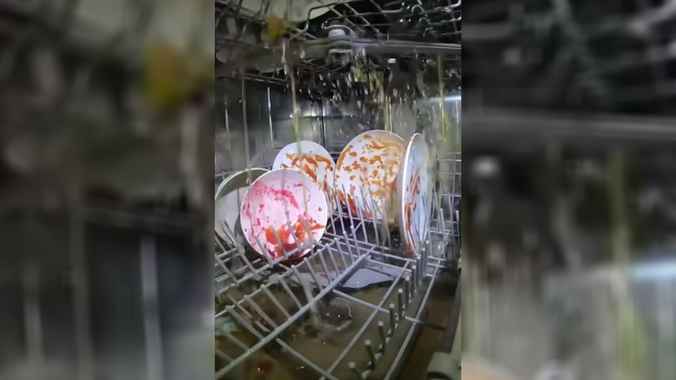 Видео, снятое внутри посудомоечной машины, поразило зрителей. Не то, что ожидали?