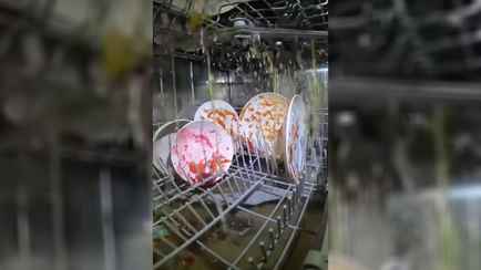 Видео, снятое внутри посудомоечной машины, поразило зрителей. Не то, что ожидали?