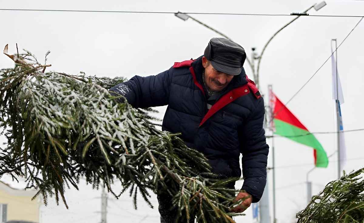 Фото иллюстрационное