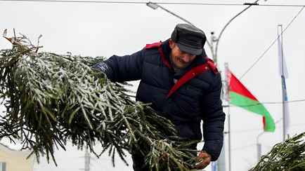 Россиян предупредили о скрытой опасности живых ёлок. Почему и белорусам стоит выдержать сутки на балконе?