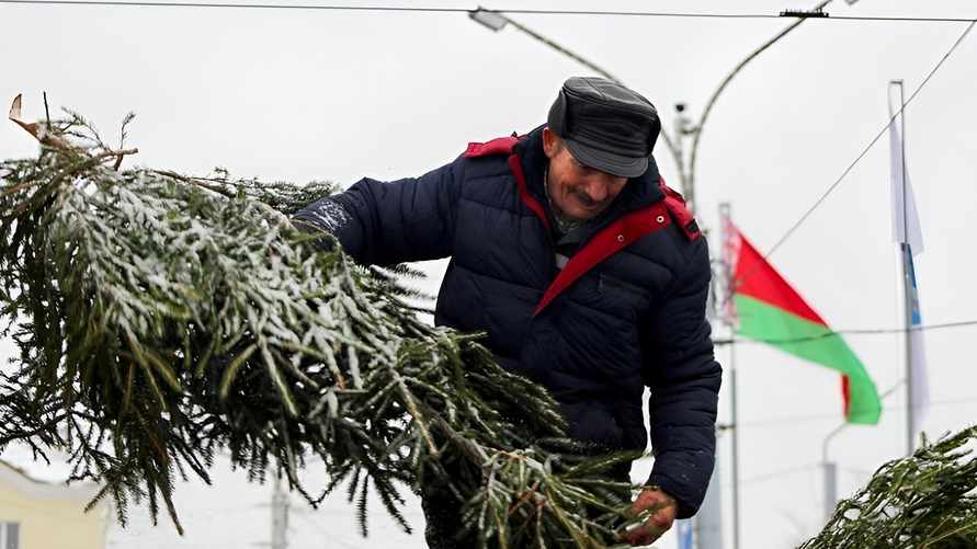 Фото иллюстрационное