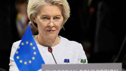 Евросоюз вызвал посла Беларуси для разъяснений. Что известно?