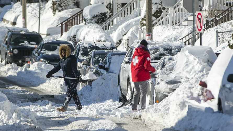 Америка «украла» зиму у Беларуси? Синоптики пояснили, когда ждать снег и где в ближайшие дни до +10°C