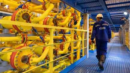 Две страны ЕС решили оспорить план отказа от российского газа — «Вопиющее юридическое мошенничество»