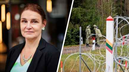 В ООН призвали Литву изменить отношение к нелегалам, идущим через Беларусь