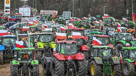 Польские фермеры объявили о массовых протестах