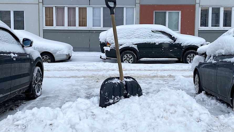 Фото иллюстрационное