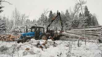 В Минлесхозе объяснили, зачем отправили в морозы работников лесхозов в два региона Беларуси — “Финансово заинтересуют”?