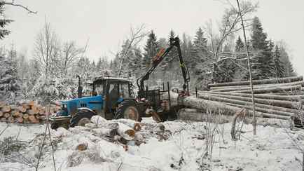 В Минлесхозе объяснили, зачем отправили в морозы работников лесхозов в два региона Беларуси — “Финансово заинтересуют”?