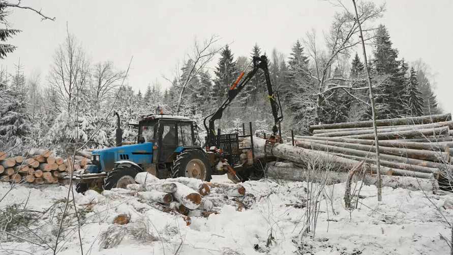 Фото иллюстрационное: av.by