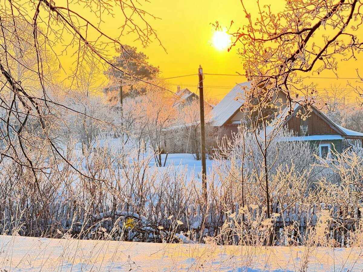 Когда в Беларуси "потеплеет" до -7°C. Белгидромет напомнил, что это не самая холодная зима за 5 лет