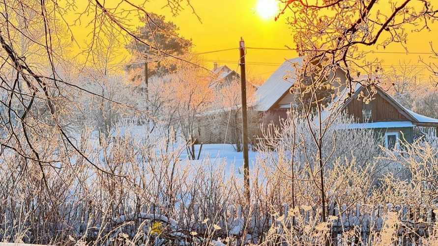 Когда в Беларуси "потеплеет" до -7°C. Белгидромет напомнил, что это не самая холодная зима за 5 лет