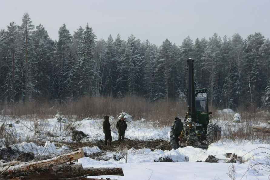В Беларуси нашлось министерство, которое обрадовалось аномальным морозам - Хорошие погодные условия