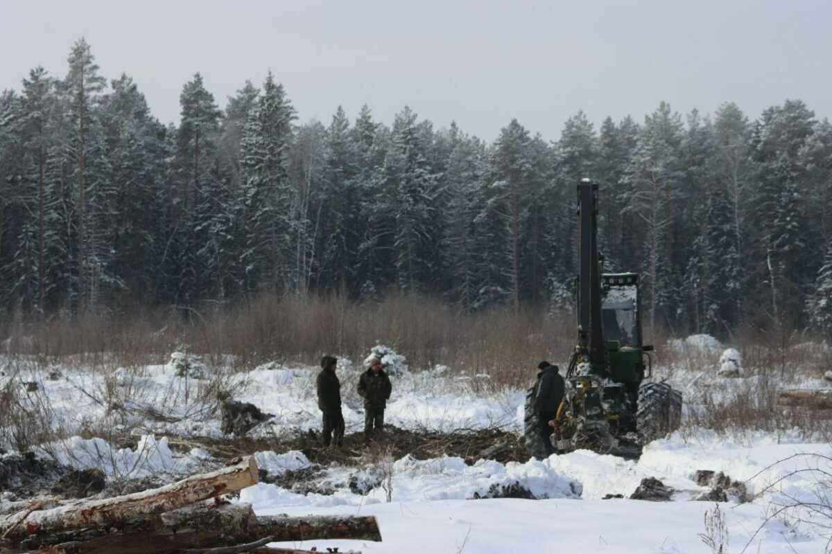 В Беларуси нашлось министерство, которое обрадовалось аномальным морозам - Хорошие погодные условия