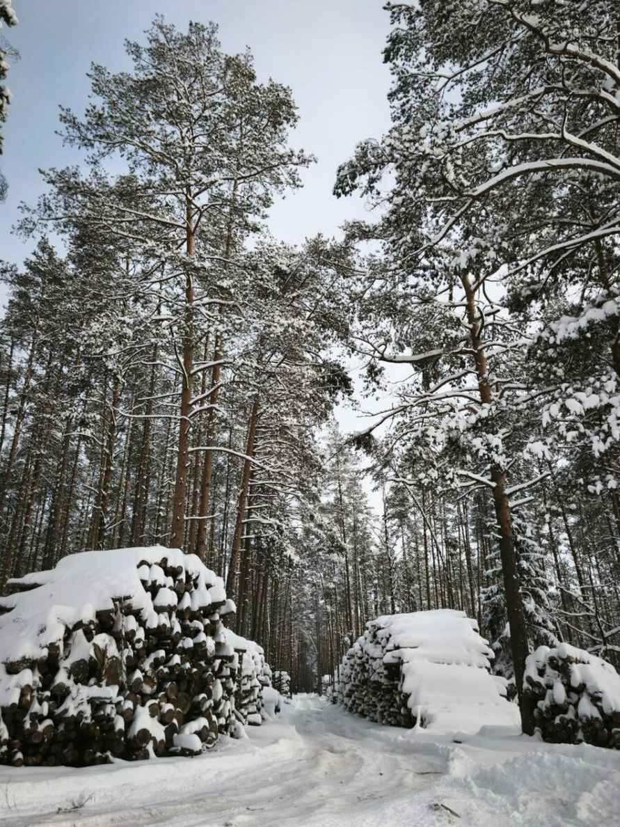 В Беларуси нашлось министерство, которое обрадовалось аномальным морозам - Хорошие погодные условия