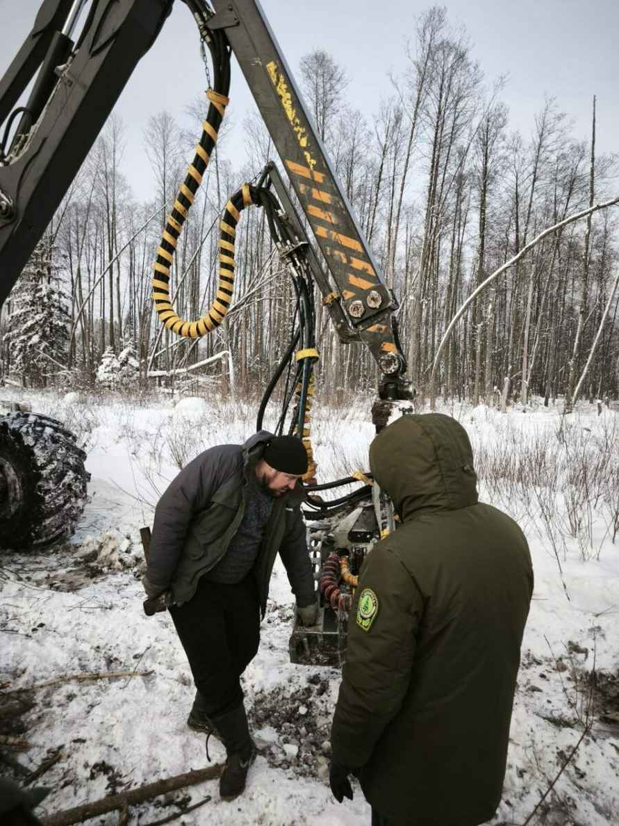 В Беларуси нашлось министерство, которое обрадовалось аномальным морозам - Хорошие погодные условия