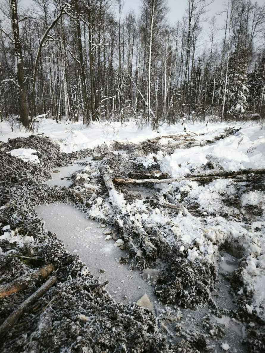 В Беларуси нашлось министерство, которое обрадовалось аномальным морозам - Хорошие погодные условия