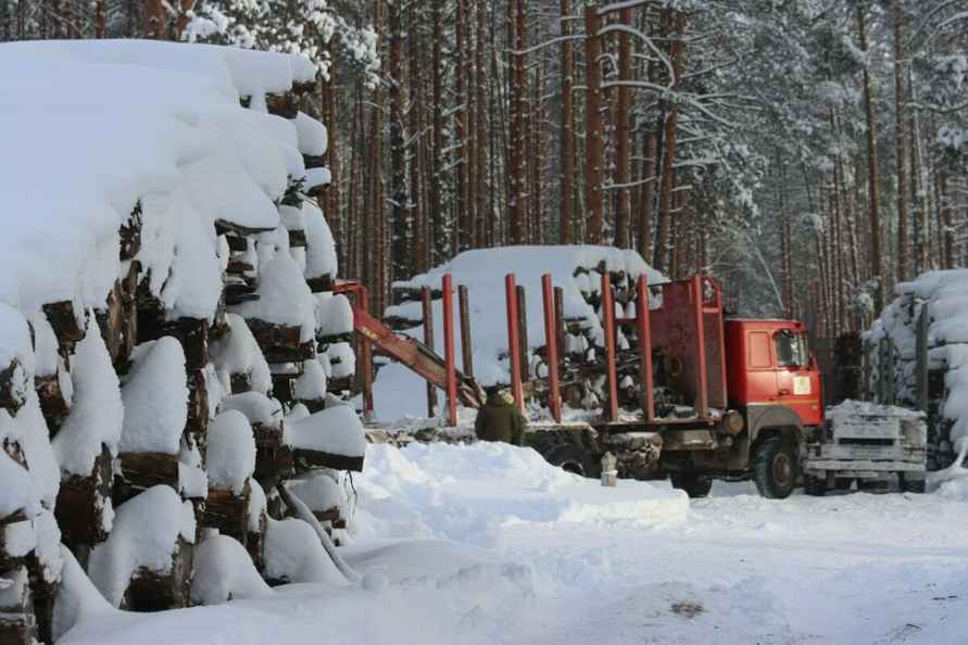В Беларуси нашлось министерство, которое обрадовалось аномальным морозам - Хорошие погодные условия
