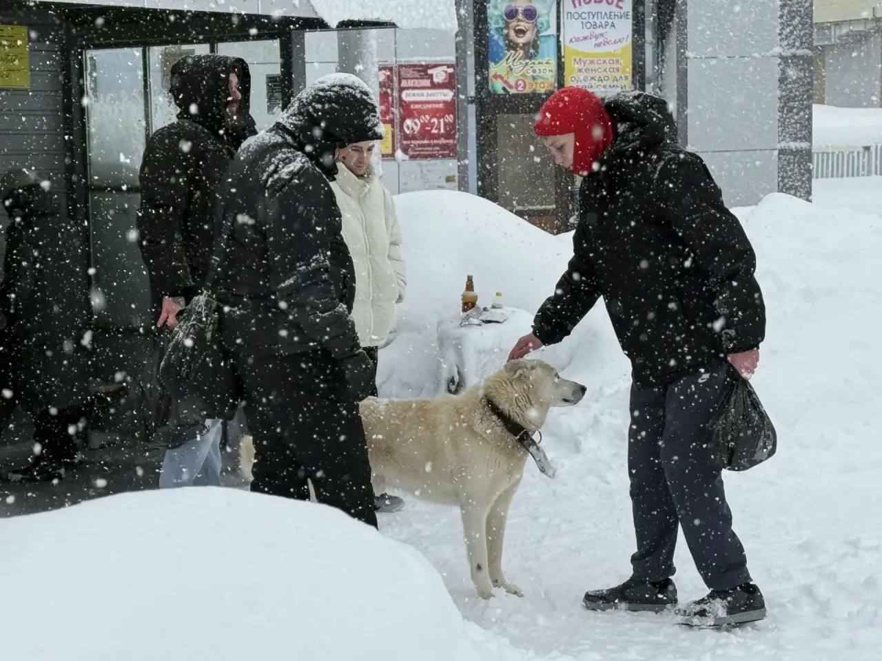 На российской Камчатке для перевозки пассажиров привлекли автозаки