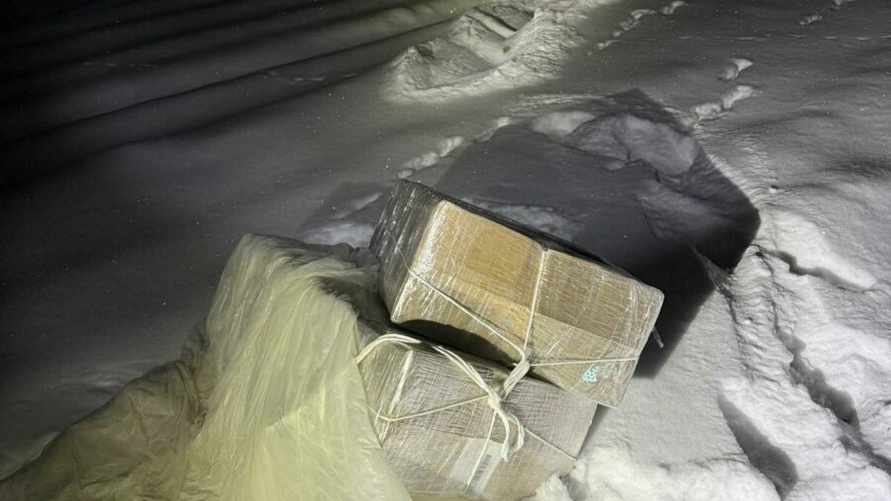 В Польшу прилетели воздушные шары из Беларуси - SG