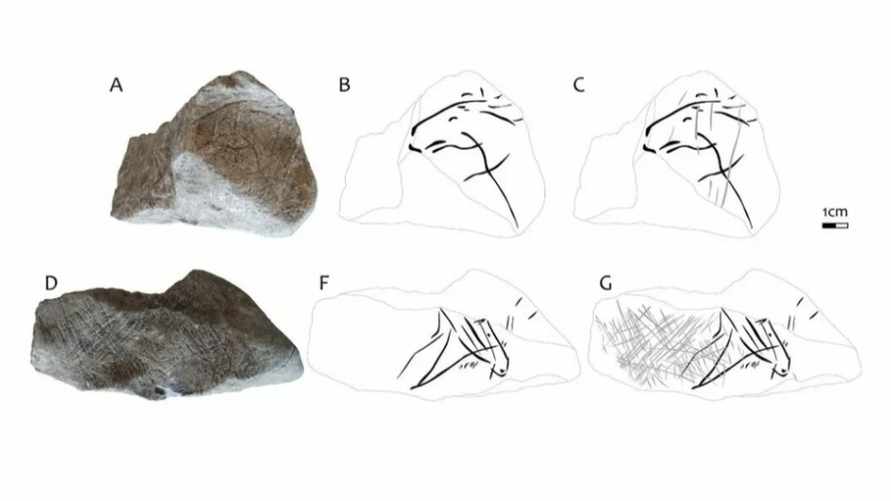 Археологи обнаружили изображения лошадей, которым 16 000 лет