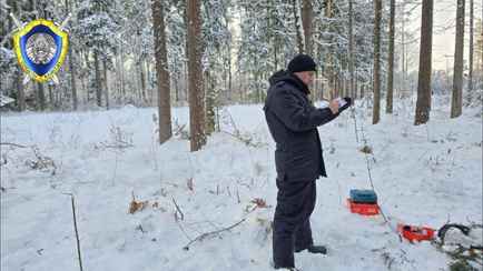Под Костюковичами из-за упавшего дерева погиб лесоруб