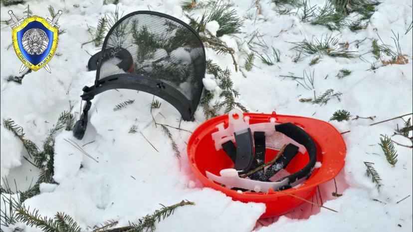 Под Костюковичами из-за упавшего дерева погиб лесоруб