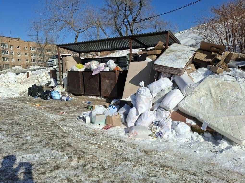 В российском Владивостоке начался мусорный коллапс