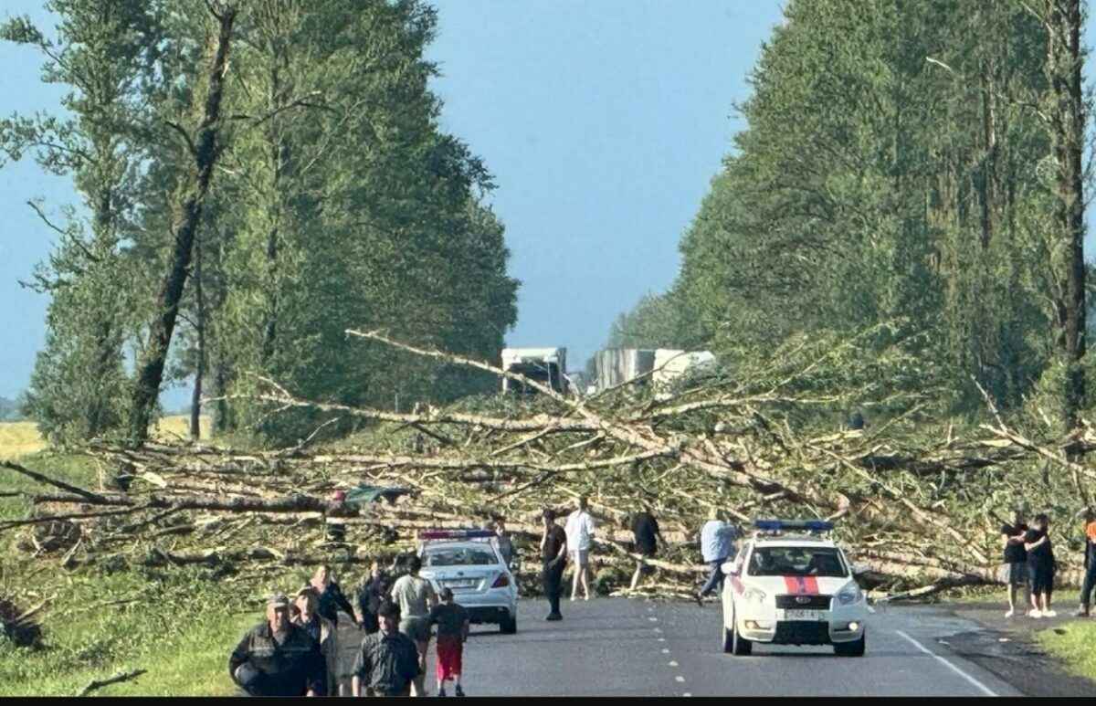 Белгидромет перечислил все аномалии погоды в 2025 году. Будет с чем сравнить 2026
