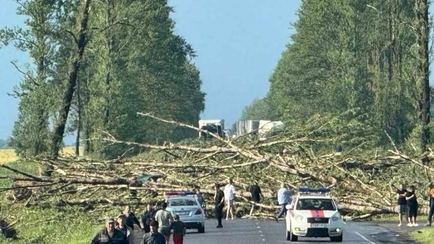 Белгидромет перечислил все аномалии погоды в 2025 году. Будет с чем сравнить 2026
