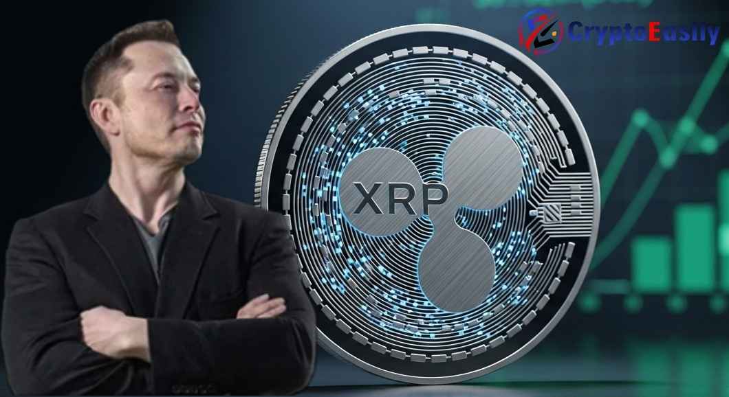 Маск верит: XRP cтанет самой значимой высокодоходной инвестицией в 2026 году