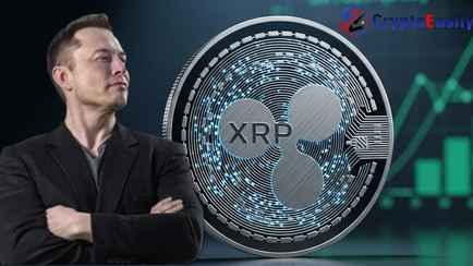 Маск верит: XRP cтанет самой значимой высокодоходной инвестицией в 2026 году