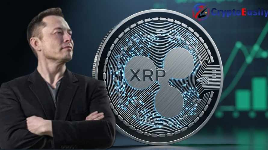 Маск верит: XRP cтанет самой значимой высокодоходной инвестицией в 2026 году