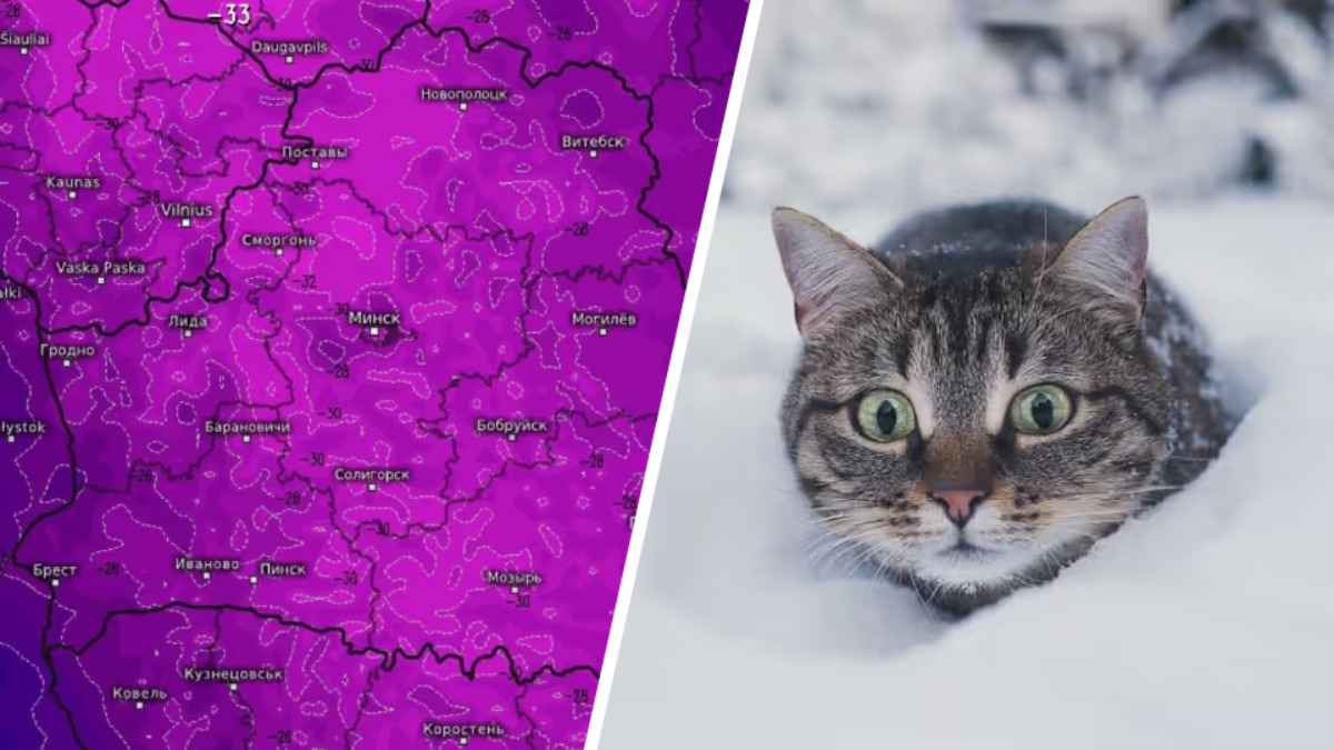 Ниже -30°С. Синоптики предупредили белорусов о самом сильном похолодании этой зимы