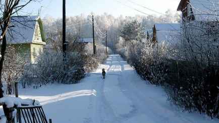 Госкомимущество Беларуси объявило о важных изменениях для дач