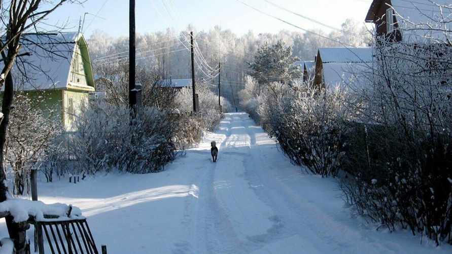 Госкомимущество Беларуси объявило о важных изменениях для дач