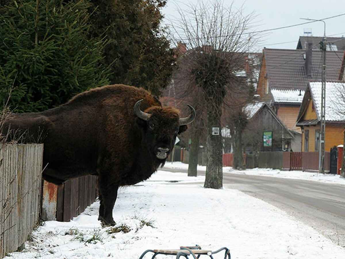 Фото иллюстрационное / irek.smerczynski
