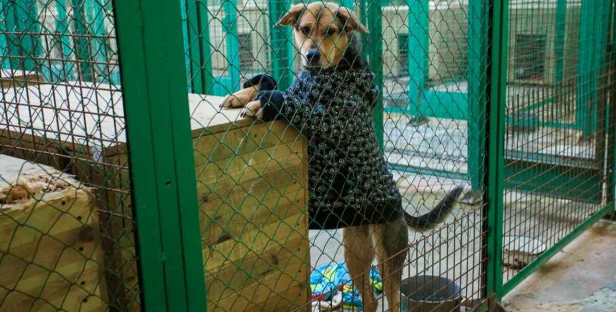 Фото иллюстрационное