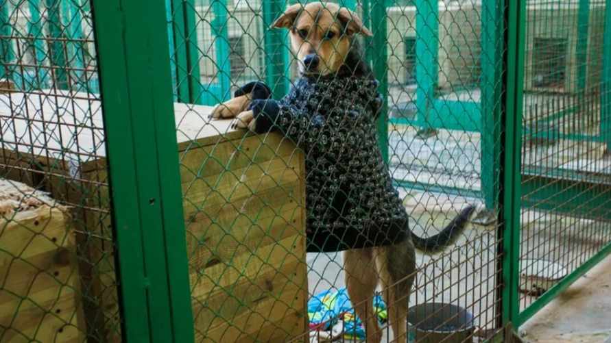 Фото иллюстрационное