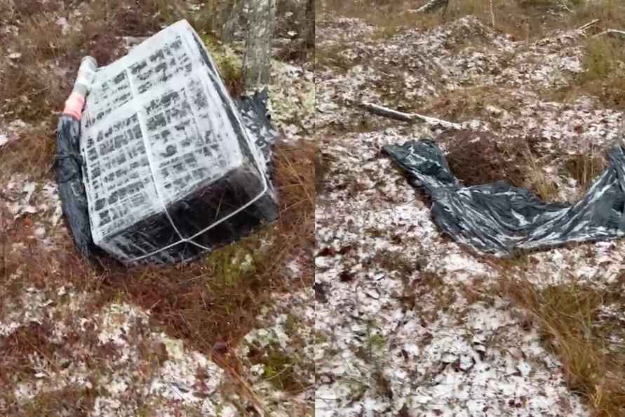 Фото Службы охраны государственной границы Литвы