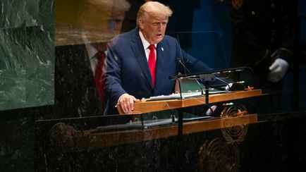 Кто войдёт в «приватизированную ООН»? Список стран, принявших приглашение Трампа