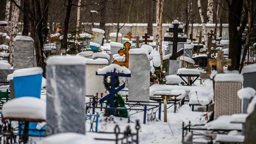 Фото иллюстрационное