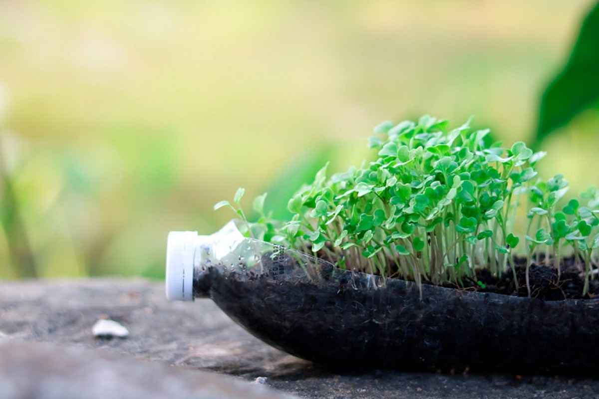 Фото иллюстрационное