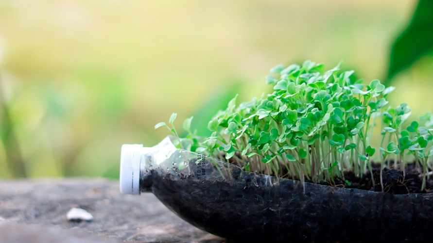 Фото иллюстрационное